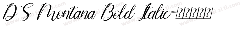 DS Montana Bold Italic字体转换